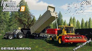 Grass silage harvest | Animals on Geiselsberg | Farming Simulator 19 | Episode 2