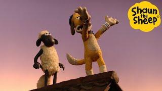 Shaun the Sheep  Season 2!!!  - Cartoons for Kids  Full Episodes Compilation [4 hour]