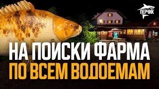 На поиски фарма по всем водоёмам ● Русская рыбалка 4 ● Перчик РР4