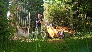 A Dull Task On A Sunny Day  - Chateau Life  EP 363