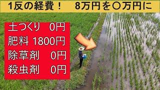 【非スマート農業で費用を抑える】かなりの体力と決断力が必要です