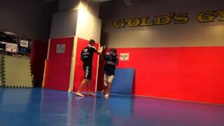 Hiromitsu Kanehara, Robert Hatmullin (Kanehara Dojo) 19.10.2013 Part-5