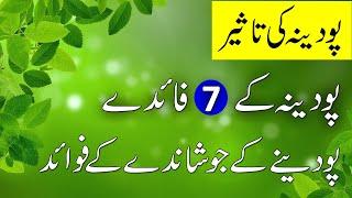 Pudina ke 7 Fayde  | Mint Benefits | Podina k Faiday | پودینہ  | Podina k Faidy