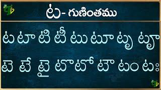 ట గుణింతం | Ta gunintham in Telugu | Ta guninthalu | Telugu varnamala Guninthamulu 2024 updated