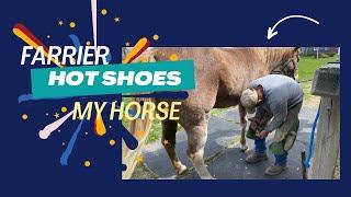 Hot Shoeing My Horse - Why hot shoe?    Blacksmith Farrier in Action