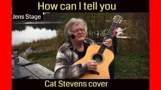 How can I tell you | Cat Stevens cover | Jens Stage |Recorded in the wildernes of Sweden oct. 2024