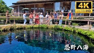 The mysterious blue lagoon of Oshino Hakkai / One of the best viewing points of Mount Fuji - 忍野八海