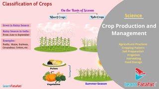 Crop Production and Management Grade 8 Science Full Chapter | LearnFatafat