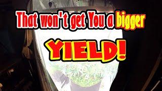 Want BIGGER YIELDS? more plants is not the answer bro! find out why. MarsHydro FC4800 EVO