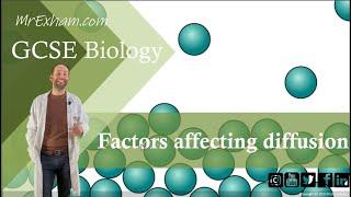 Factors Affecting Rate of Diffusion - GCSE Biology (9-1) 8.4B