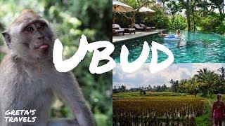 24 HOURS IN UBUD: Exploring The Rice Fields & Monkey Forest