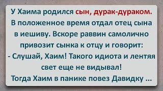 ️ У Хаима Родился Сын Идиот! Еврейские Анекдоты! Анекдоты про Евреев! Выпуск #332