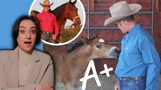 Let's Judge Horse Trainers: Warwick Schiller