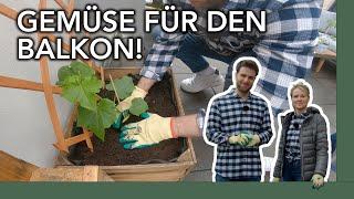 Das optimale Snack-Gemüse für den Balkon! | Pimp my Balcony - Folge 3