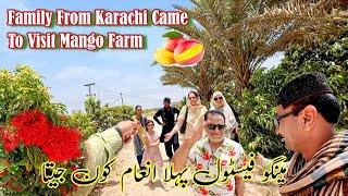 Family from Karachi to visit mango farm | First prize in Mango Festival | Mango season