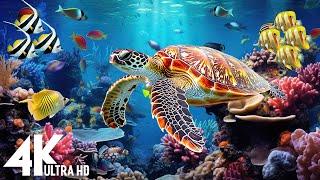 Ocean 4K - Sea Animals for Relaxation, Beautiful Coral Reef Fish in Aquarium(4K Video Ultra HD) #18