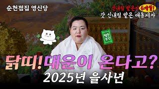 2025년 ! #닭띠운세 대운이 온다고~~~?!?!  #닭띠 #운세 #띠운세 #띠별운세 [영신당 010-9906-8758]