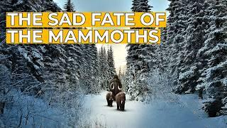 The Mammoth - Titan of the Ice Age: Part 2 | FD Ancient History