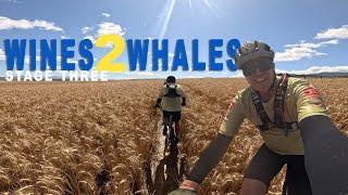 2024 FNB Wines 2 Whales - Stage 3