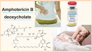 amphotericin B deoxycholate