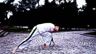 capoeira fighting moves: Mola