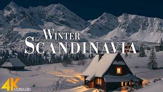 Winter Scandinavia 4K Ultra HD • Stunning Footage, Scenic Relaxation Film with Calming Music.