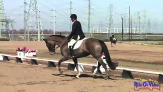 038D David Adamo Open Training Dressage Fresno County Horse Park Feb 2013