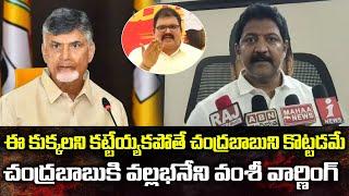 Vallabhaneni Vamsi Warning To Chandrababu | YCP Vs TDP Gannavaram | Volga News