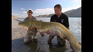 Lake Escapes - Mequinenza Spain - Catfish - Matt Hayes