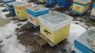 Прилётная доска к улью .Переделываю