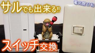 「サルでも出来るスイッチ交換」ＤＩＹでスイッチを交換しよう！「日本一解り易い（自称）スイッチ交換動画」
