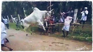 Karur Rowdy Kalai Marana JUMP