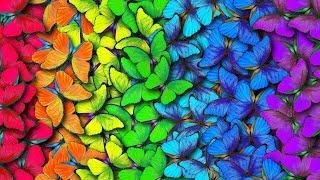 Spiral Dynamics - Important Insights & Nuances