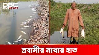 নিমিষেই শেষ প্রবাসীর মাছ চাষের স্বপ্ন | DBC NEWS Special