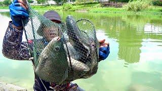 Gilak ikan Nila Babon di spot ini bikin joran mau patah pemancing sampek kuwalahan