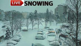 Live Snowing in Helsinki, Finland