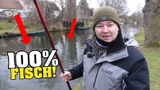 100% fish in winter! Winter fishing made easy! Coarse fish fishing