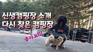 신생캠핑장 소개 / 다시 찾은 캠핑장 ~ 역시 좋아요!!!! / 바다캠핑