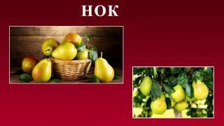 Канзи Шифо  - Мурч, Нок, Пардаарусак