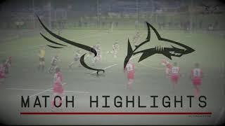 Falcons Academy 34 - 14 Sharks Academy