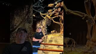 COOLEST DINOSAUR MUSEUM  #shorts #dinosaur