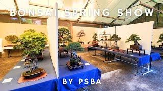 Bonsai Spring Show by PSBA (Puget Sound Bonsai Association from Seattle Washington, USA)