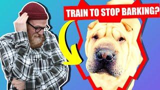 How To Stop Your SHAR PEI Barking