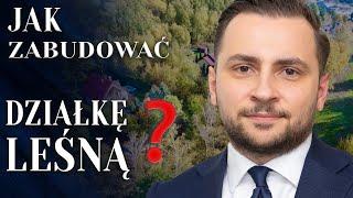Budowa na działce LEŚNEJ  Jak odlesić działkę leśną