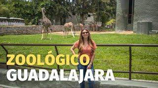 🟢ZOOLÓGICO de GUADALAJARA🟢 - GUÍA COMPLETA ‼‼ Un Viaje Más