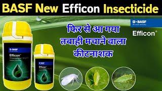 Efficon Basf | Efficon Insecticide New Product 2024 | फिर से आ गया तबाही मचाने 