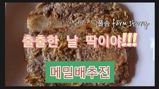 출출한 날에는 메밀배추전이 딱이야, Cabbage Pancake