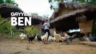 Catch native chicken and cook tinola soup for dinner | Drink beer while raining [Gayyem Ben]