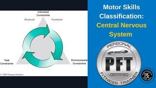 Gross Motor Skills Classification: Central Nervous System | Fitness Education