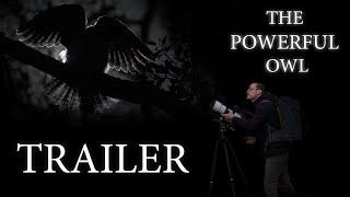 The Powerful Owl - Documentary - TRAILER